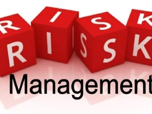 Remoik Risk Management Training