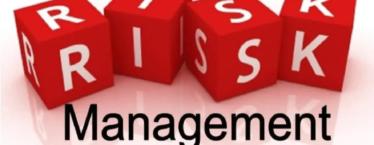 Remoik Risk Management course Training