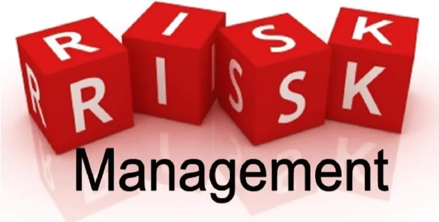 Remoik Risk Management Training