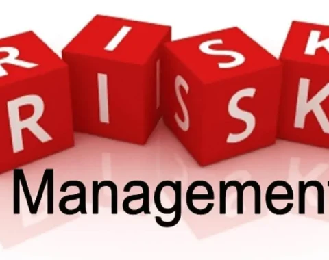 Remoik Risk Management course Training